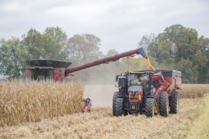 Versatile 210 CVT with Brent Cart Corn Harvest Grain Cart 1920 1080 3.1