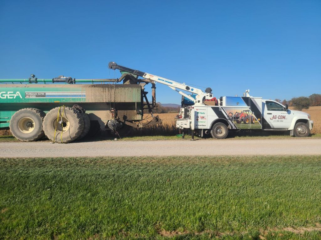 photo_2025-01-31_07-18-45